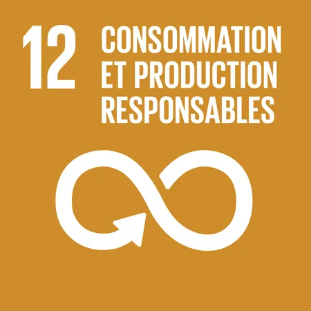 ODD 13 — Mesures relatives à la lutte contre les changements climatiques